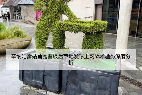 辛纳哈雷站首秀晋级后草地发球上网战术趋势深度分析